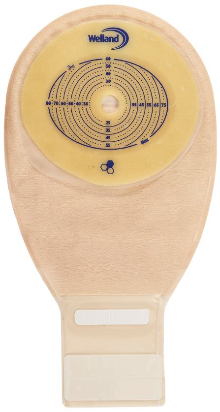 Ileozak Welland Aurum 1-delig beige midi 29mm